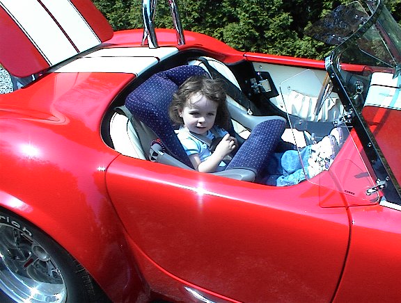 12843LisainTonyCobra