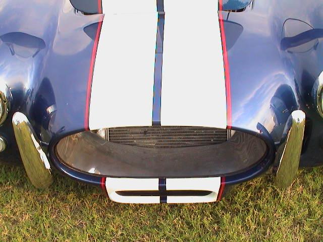 13009plants_cobra_24