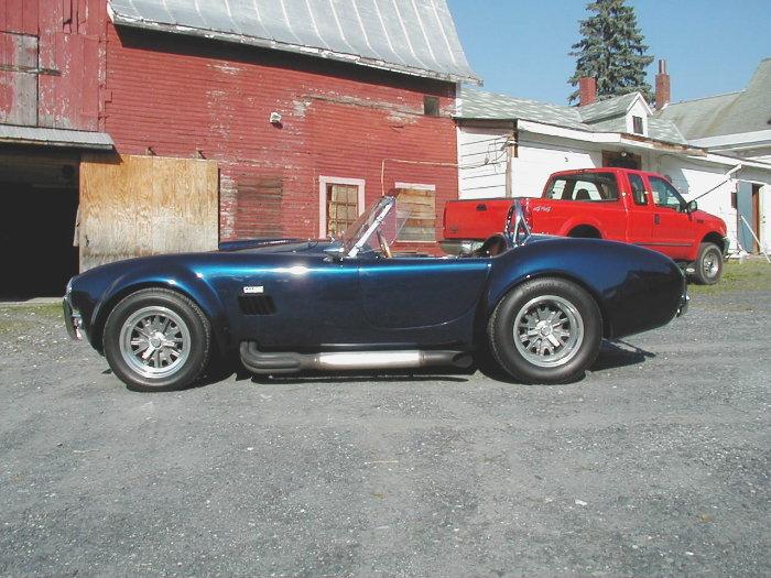 13015p8110010_cobra__1