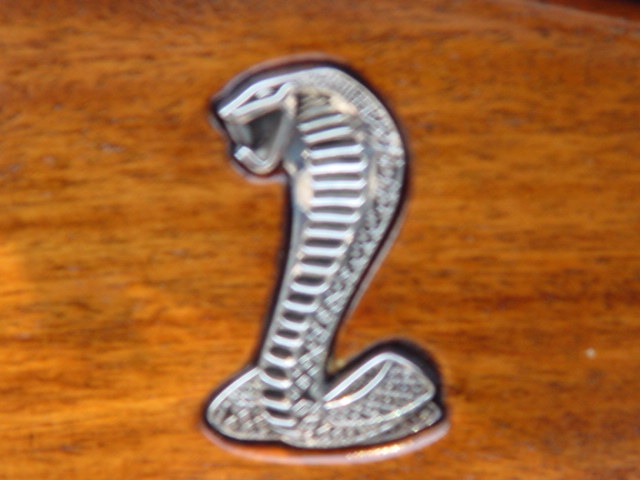 13384Cobra_engine_pictures_016