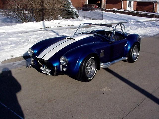 13461Cobra1