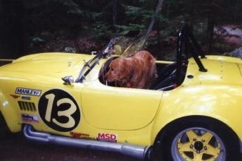 13521Willie+theCobra