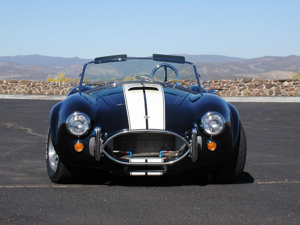 13527cobra2