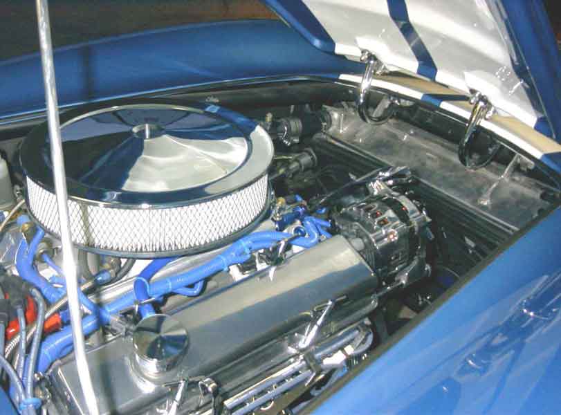 13589SB-388-injecteda