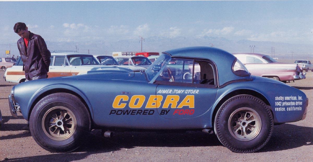 13813dragonsnake_-_1st