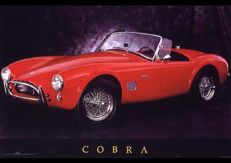 13875Cobra