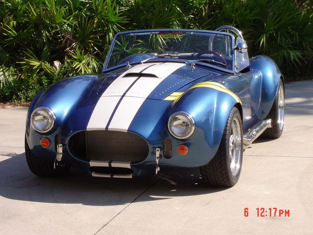 13961cobra6_smaller