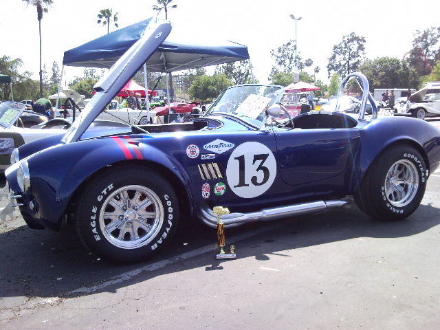 13_COBRA
