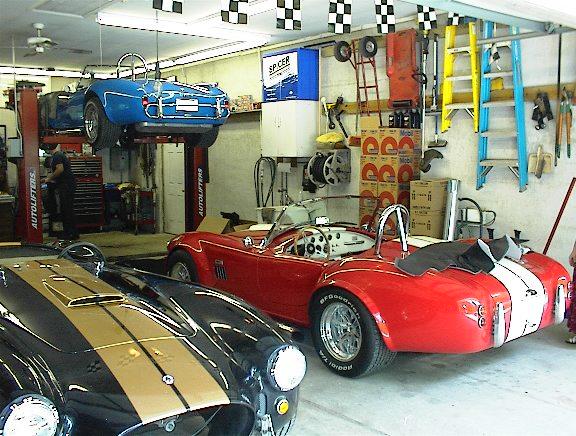 14263Tonygaragelotsofcobras2