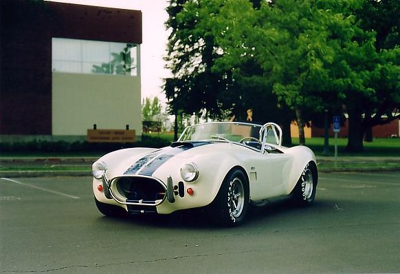 14866Cobrafrontquarteringview