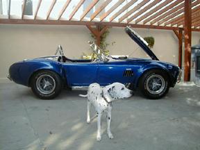 14934cobra_right_w_boone_small