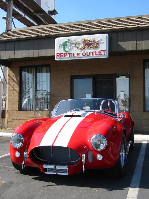 14938reptile_outlet_sm