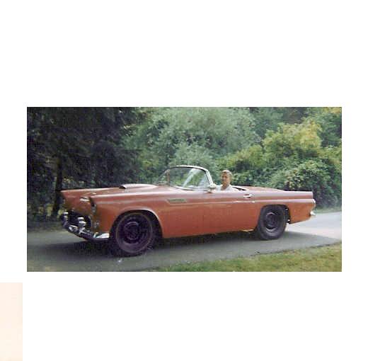 15087Steve_with_Bird_-_old_paint_edit