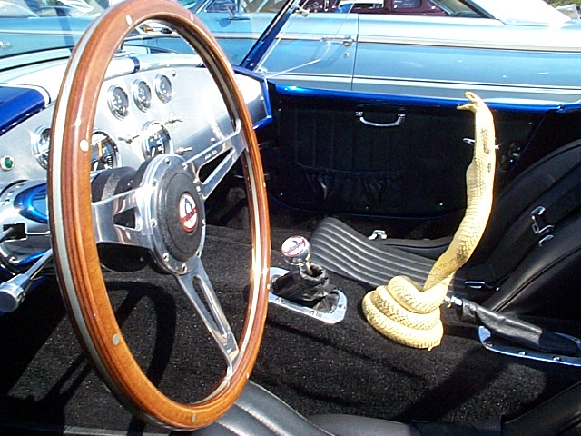 15219Cobra_at_Speedway_05_017