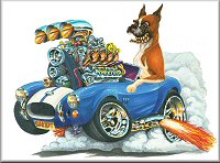 15219Maddmax_Muscle_Car_Art
