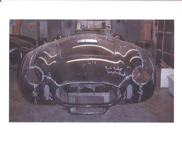 15446our_cobra_before_painting_3_-_small