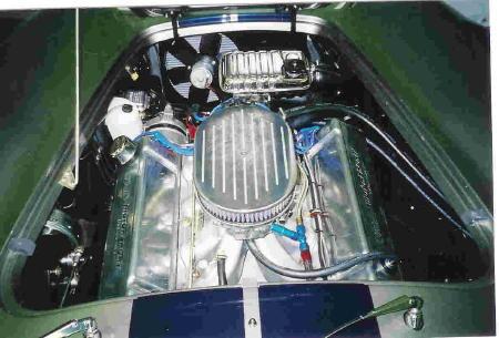 15554cobra_pic_011__2_