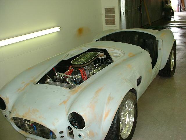 15716cobra_paint_013