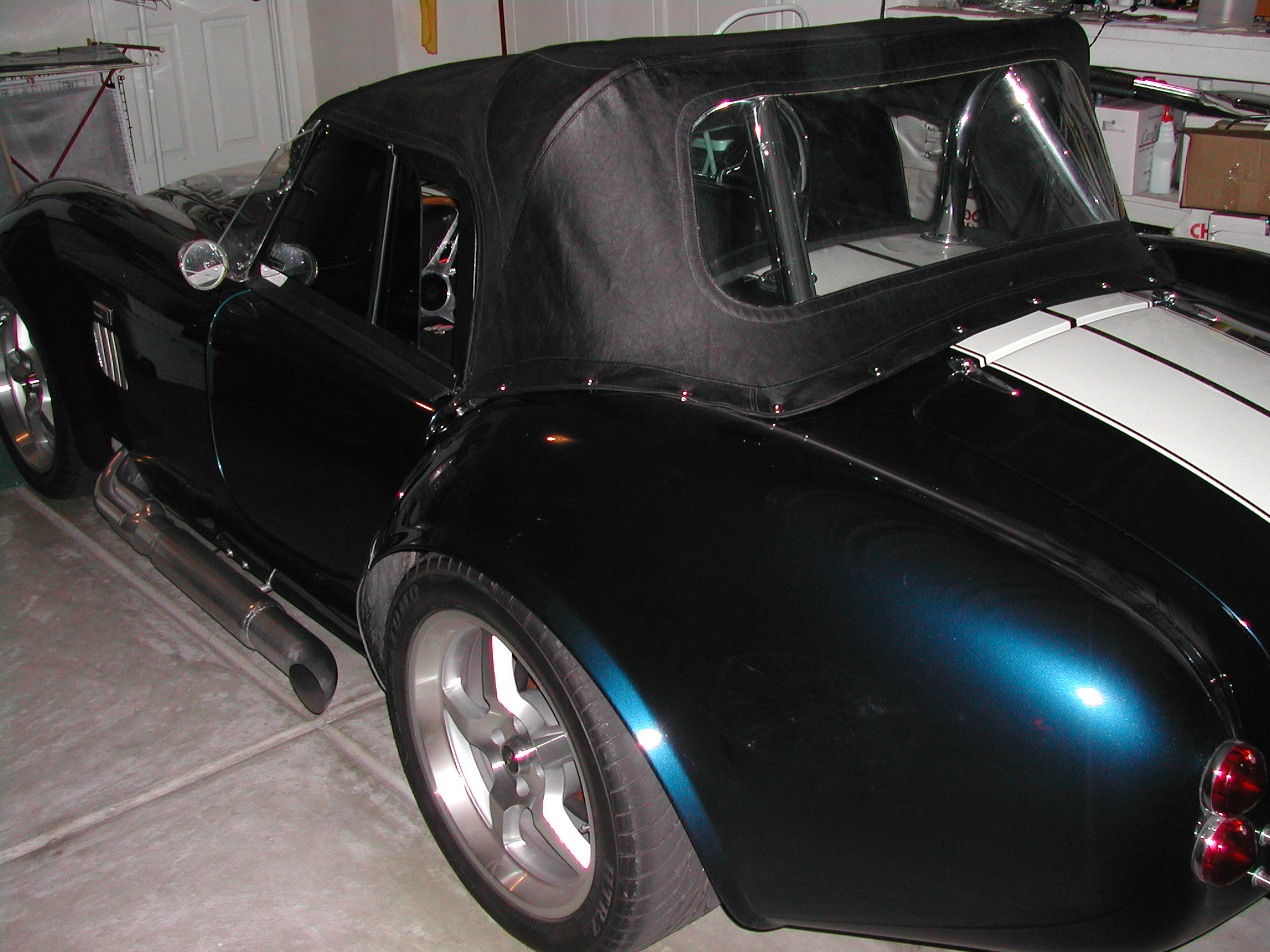 16085Blue_Cobra_Back