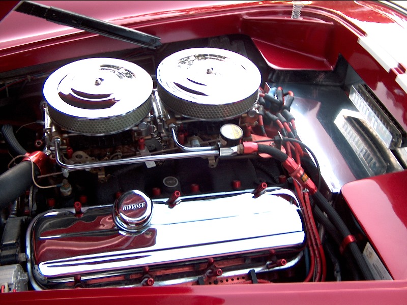 16605cobra_10_06_05_05