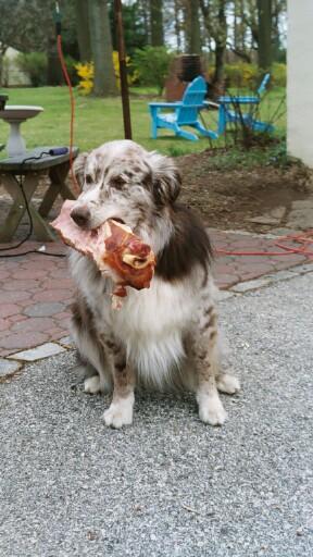 16907my_pictures0004