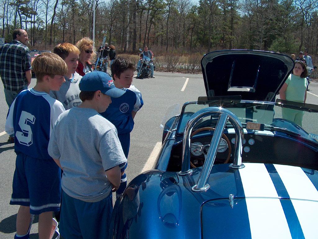 16980dare_blue_cobra_2580