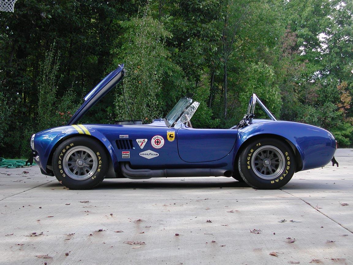17564cobra_disde_view