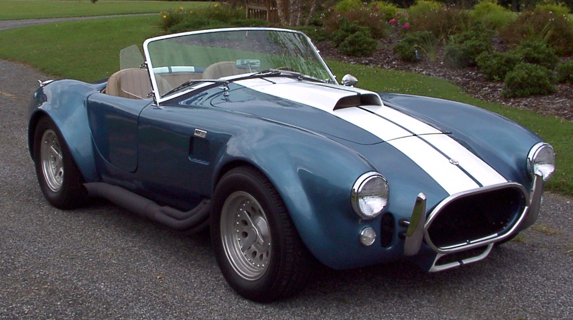 17642COBRA6