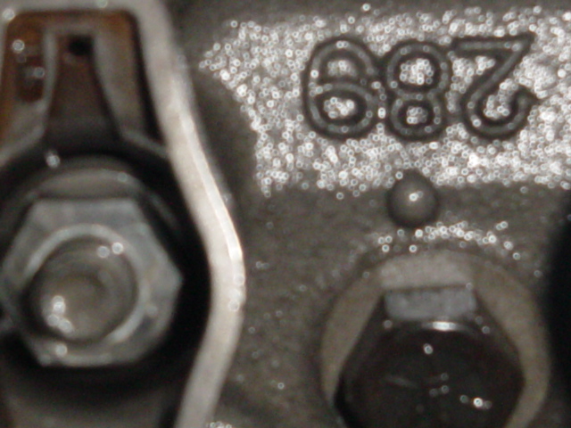 17746brg_lae_head_002