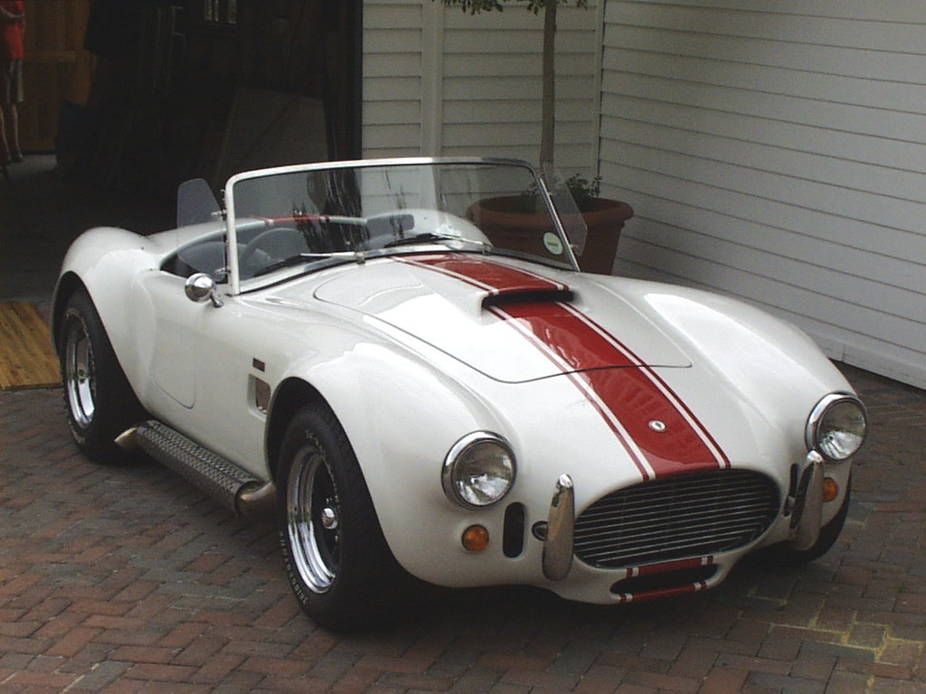 17765Cobra_11