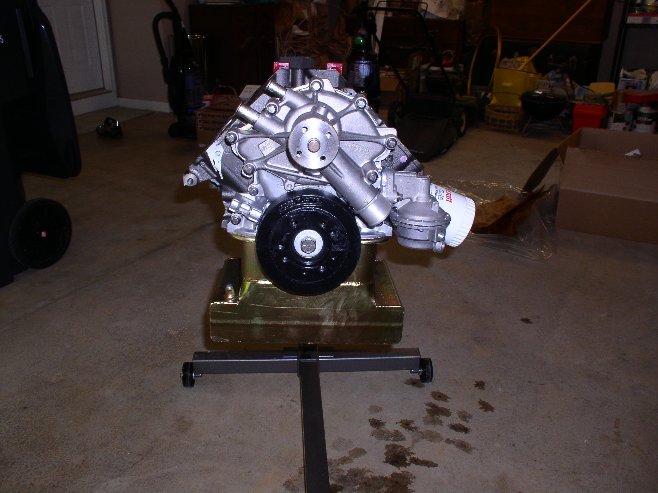 18037John_s_Cobra_pics_002