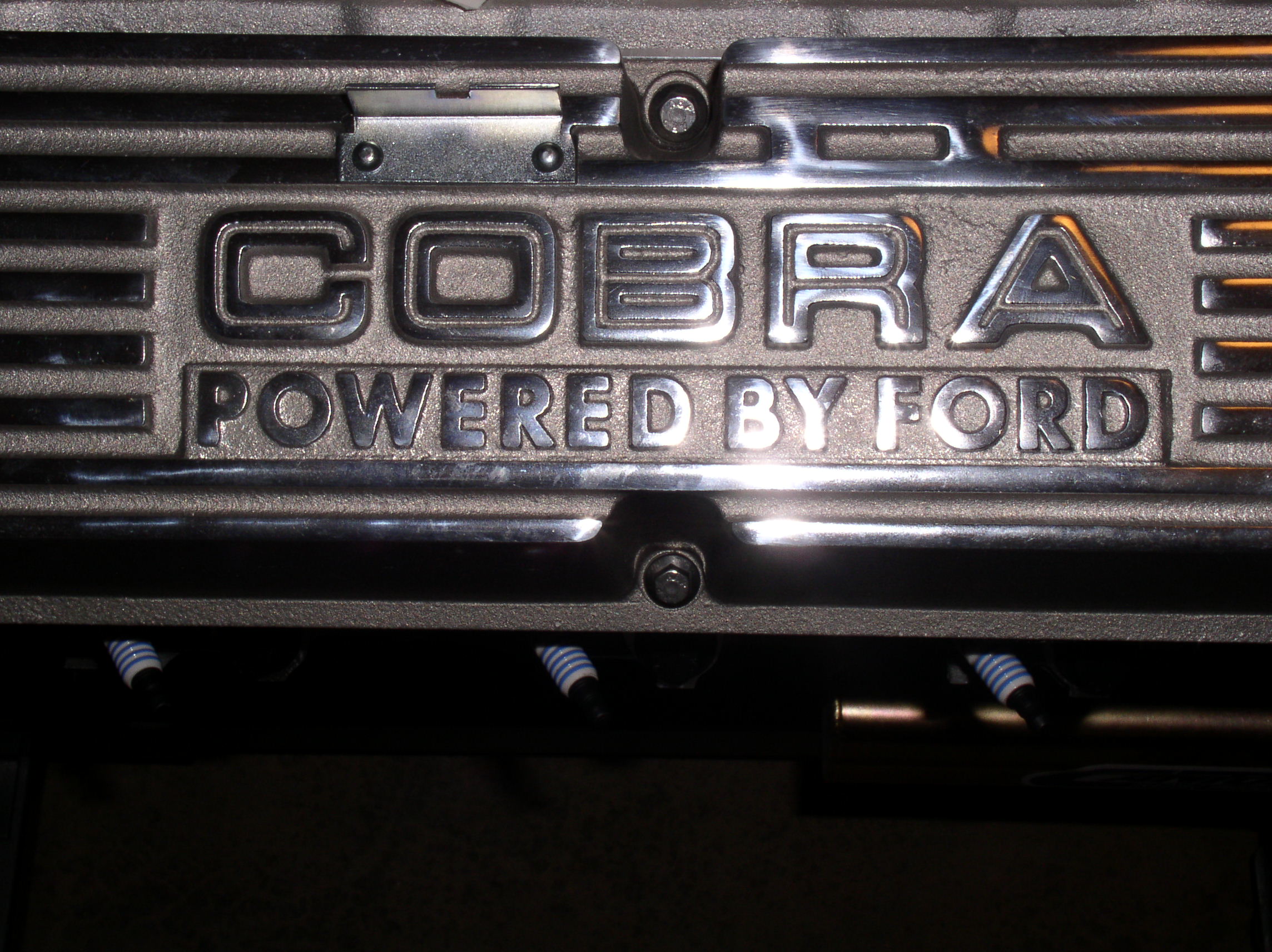 18037John_s_Cobra_pics_025