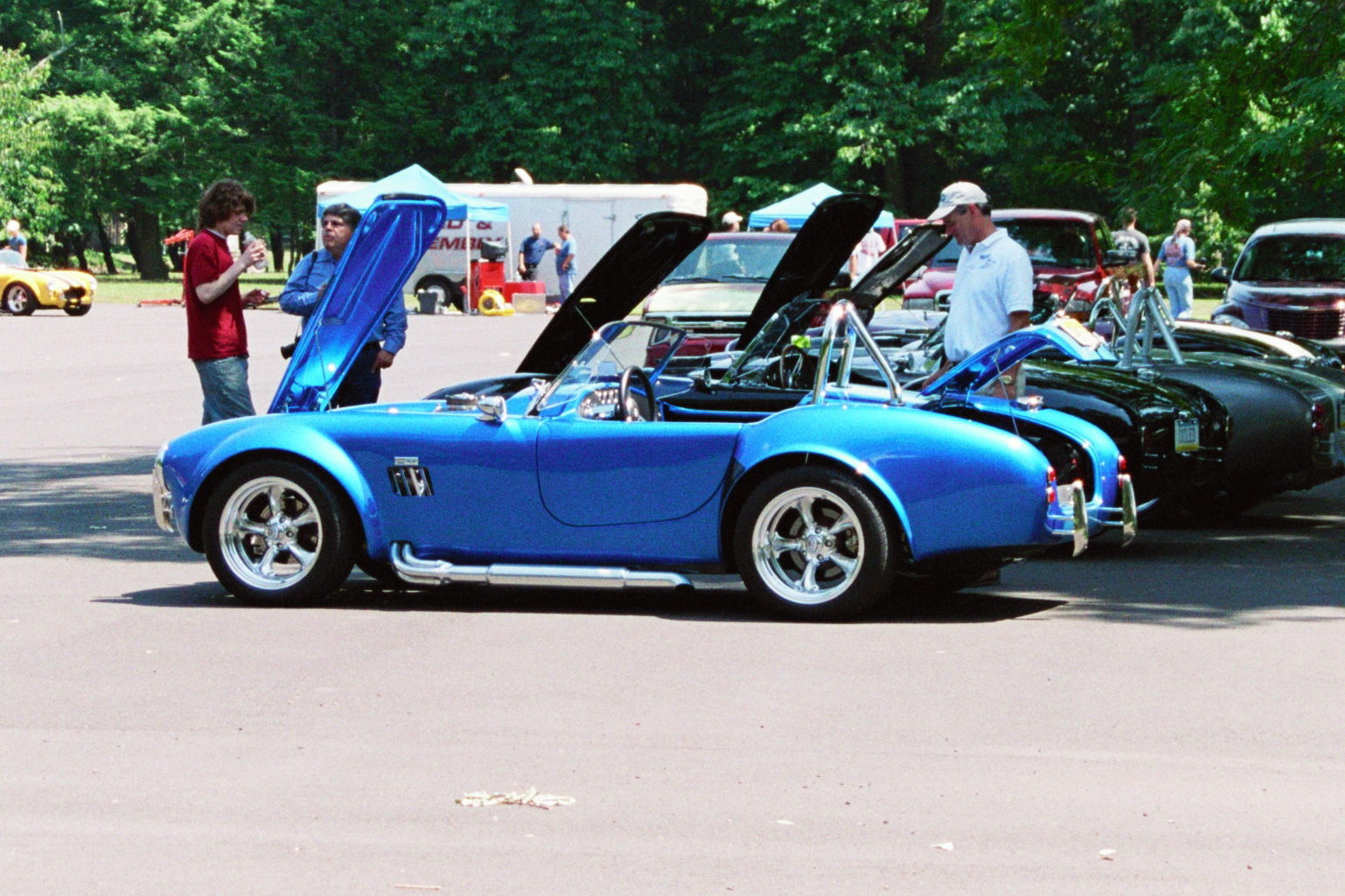 18234LSC427-CobraRev1