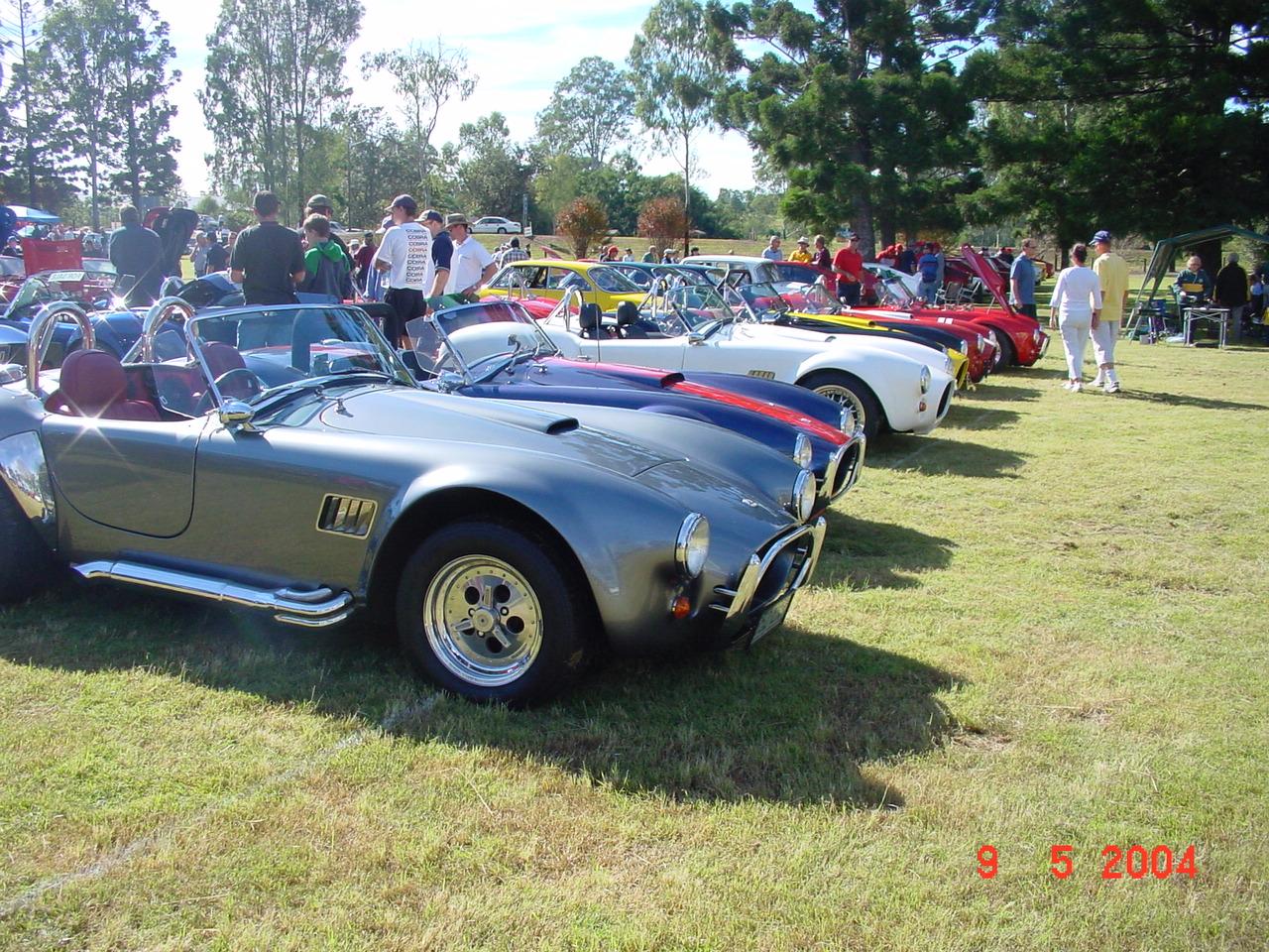 18247Cobra_s