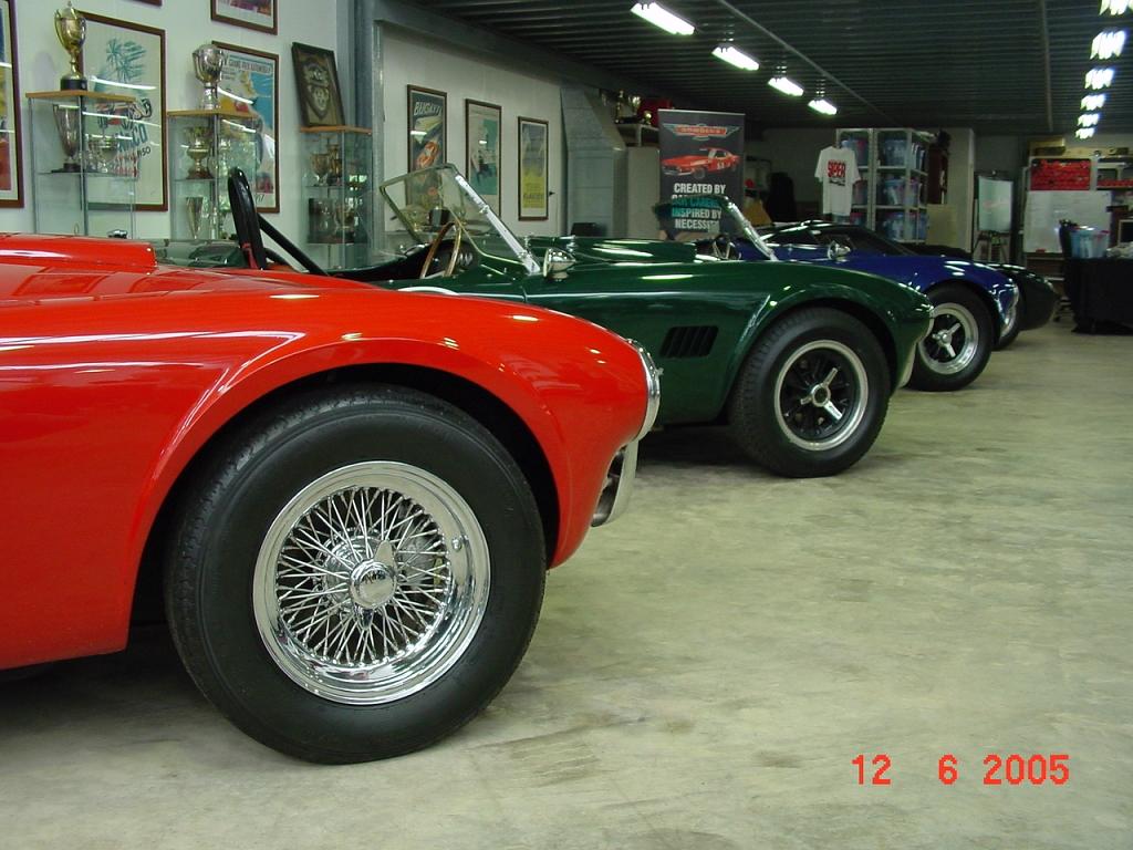 18247Cobras_5_-_Reduced