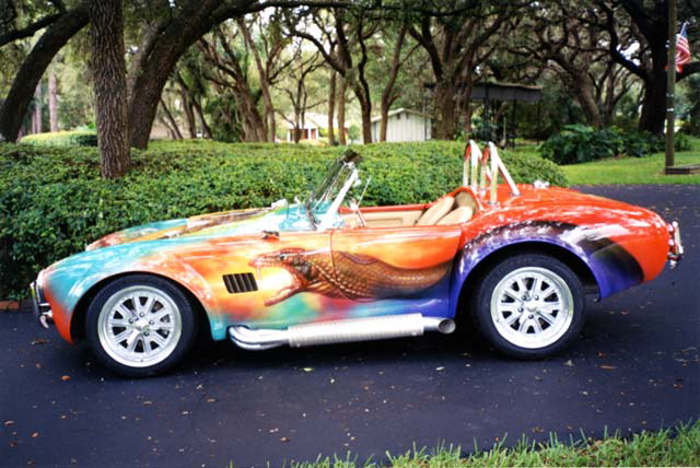 18247Multi_coloured_Cobra