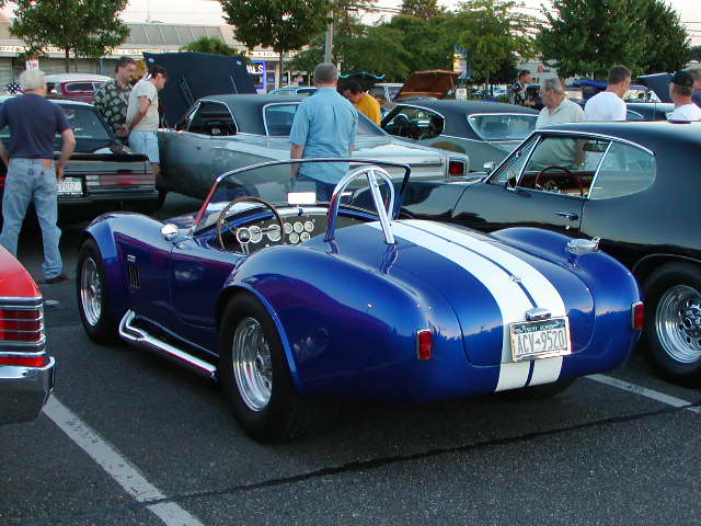 18289Cobra1