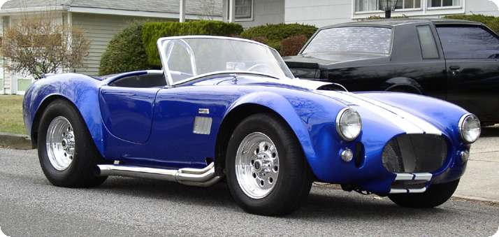 18289cobra_rf2