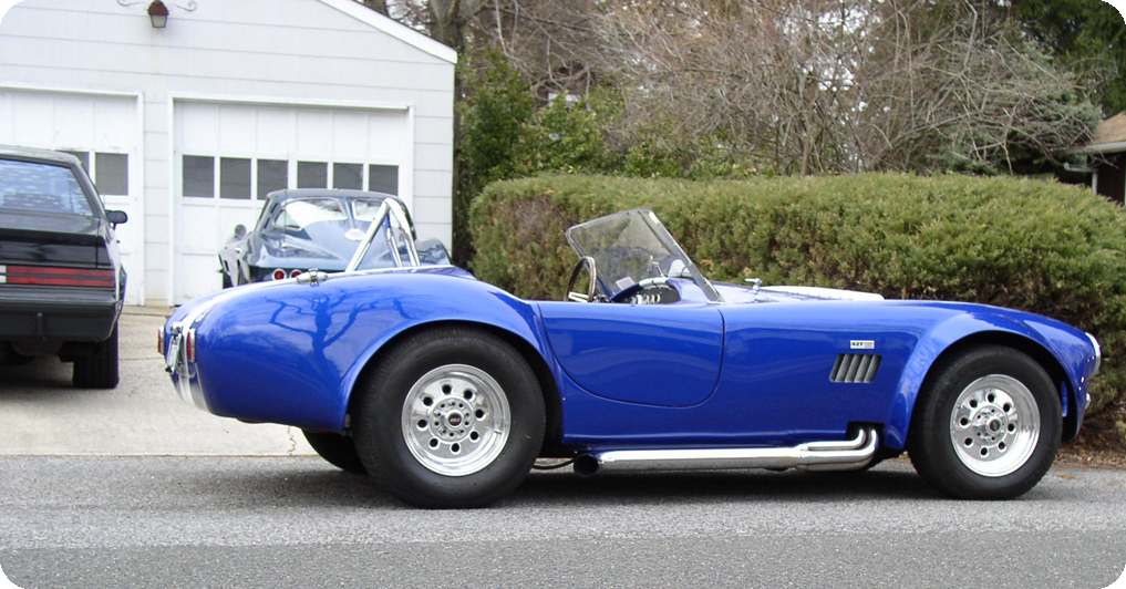 18289cobra_w-friends