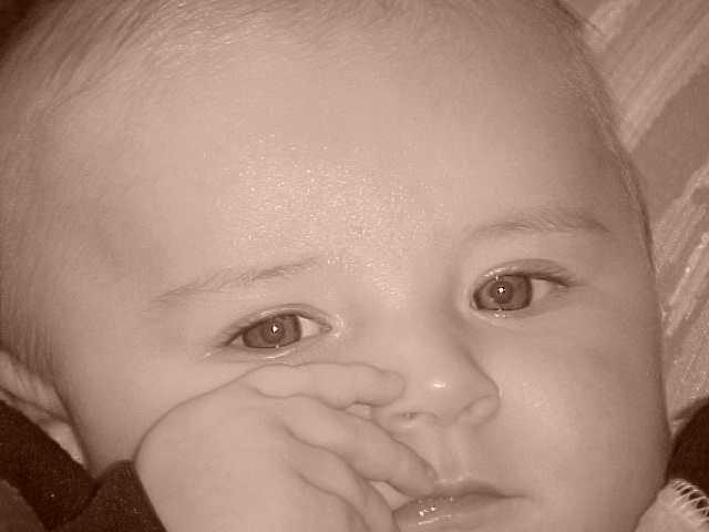 18333cobra-3months-76