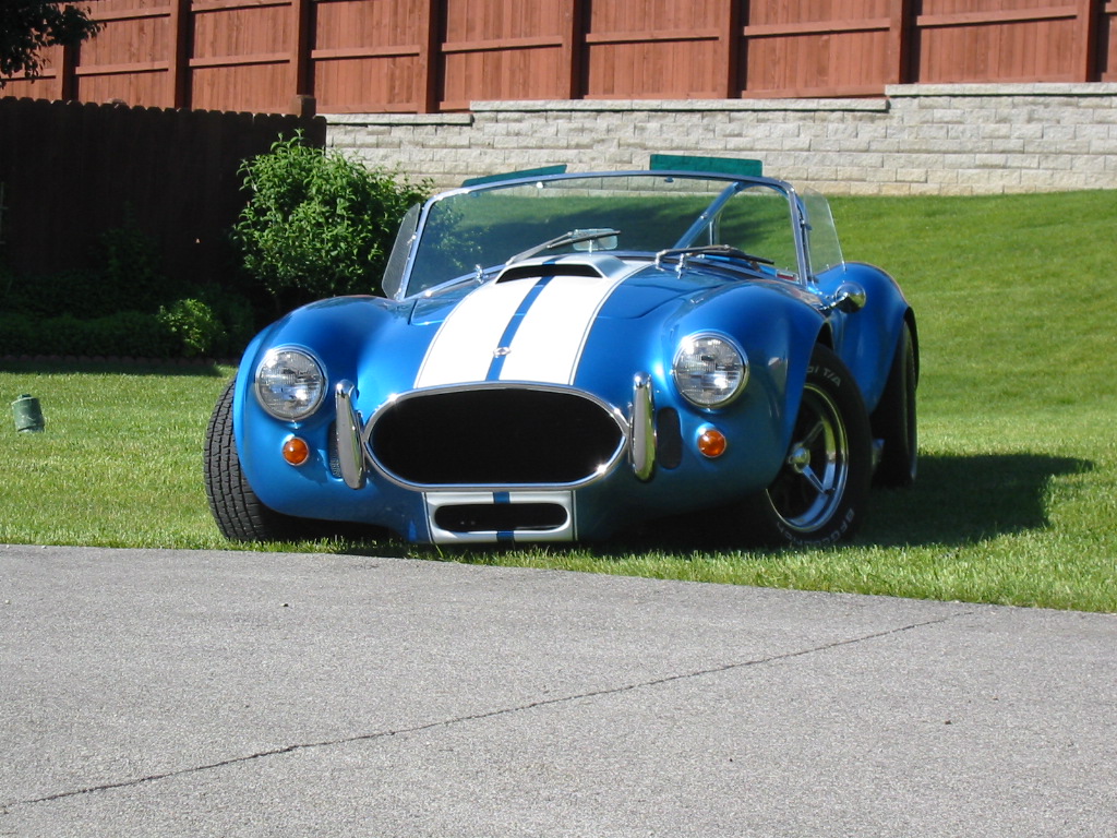 18542NAF_with_1970_428_CJ_Now_Blue_Snake_In_the_Grass