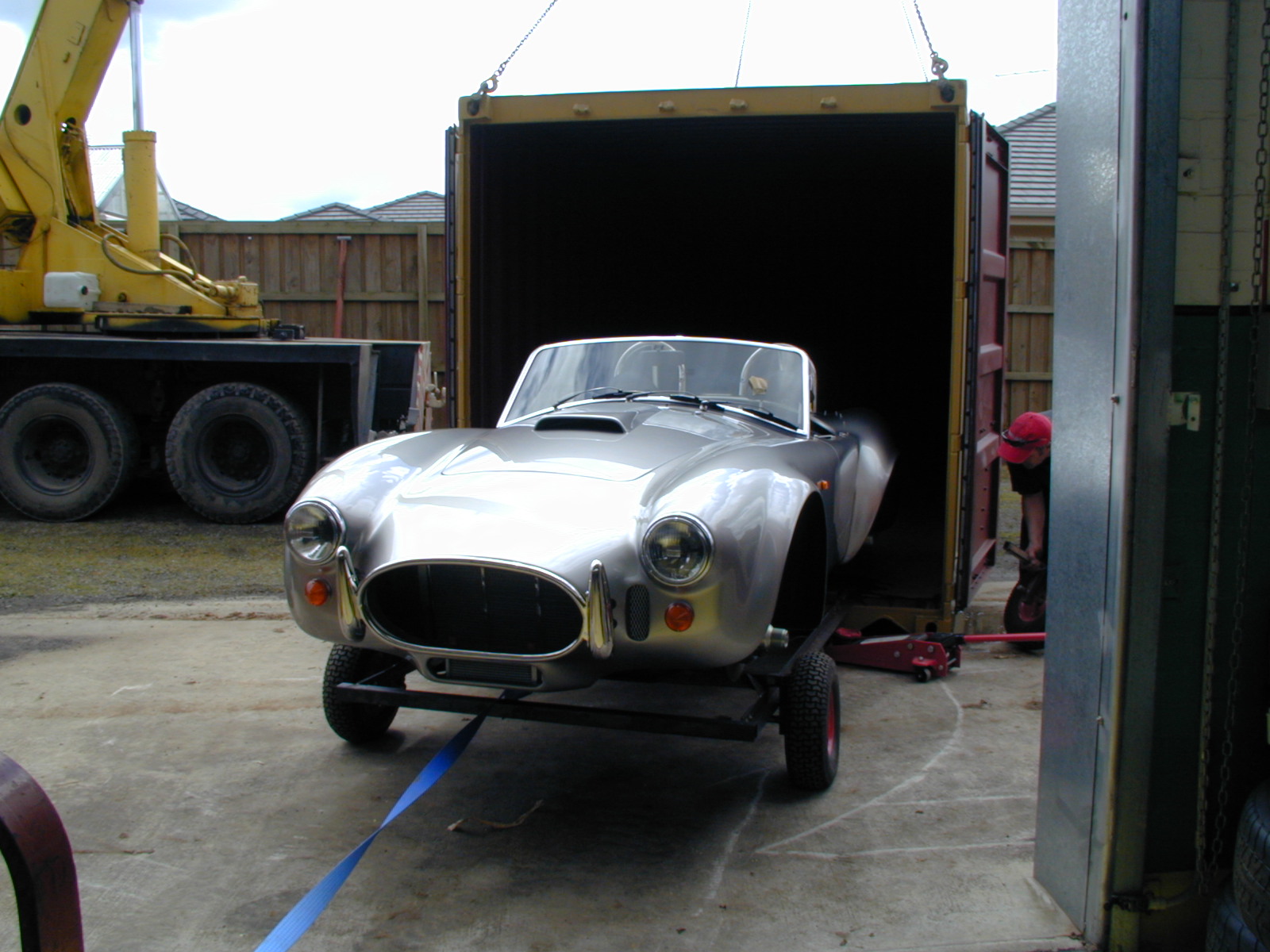 18837Cobra_out_of_container