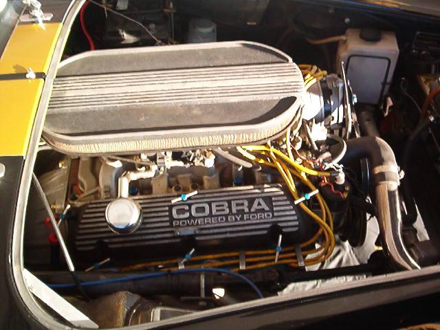 19005cobra1