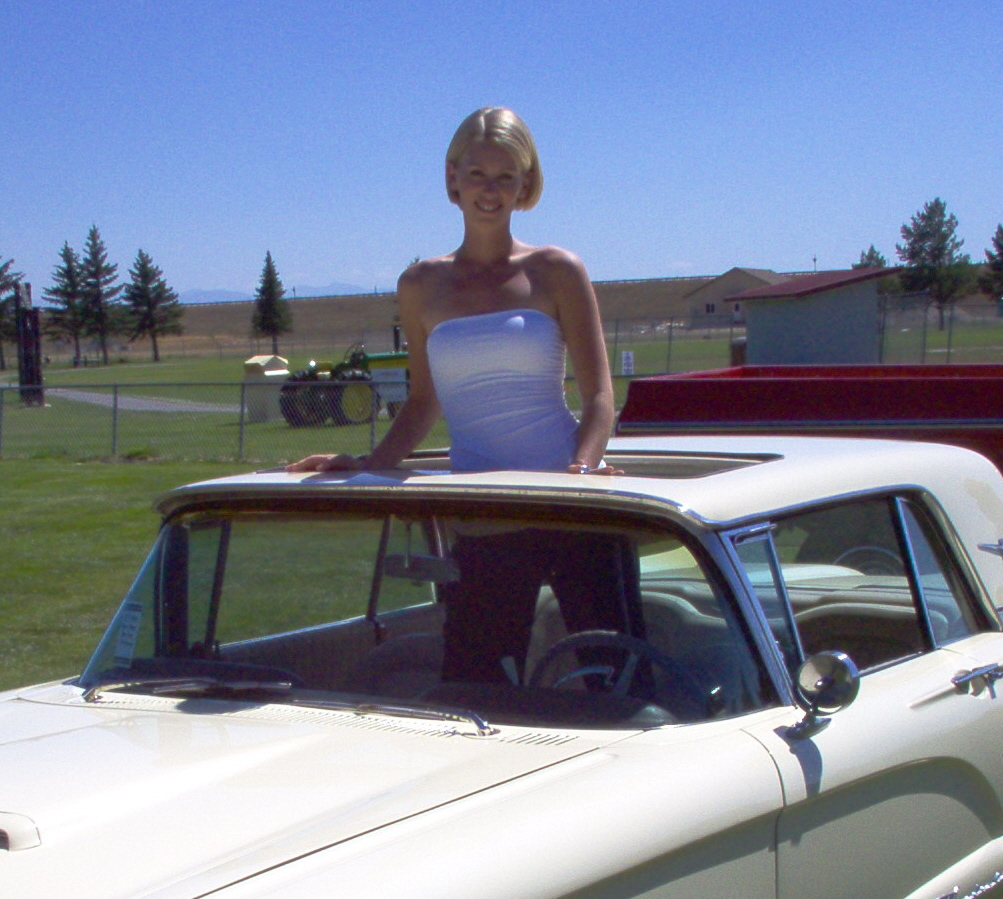 19031t_bird_sunroof_babe2