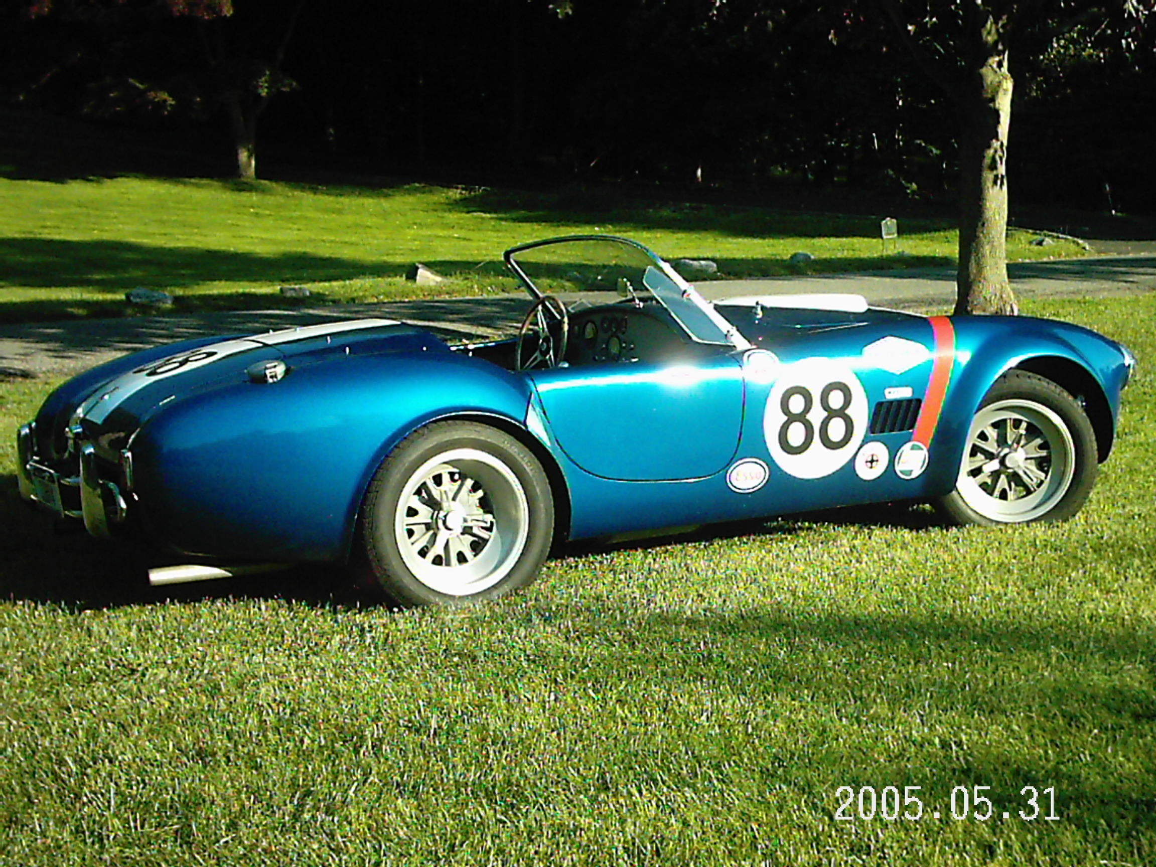 19270Cobra_in_park_Passenger_side