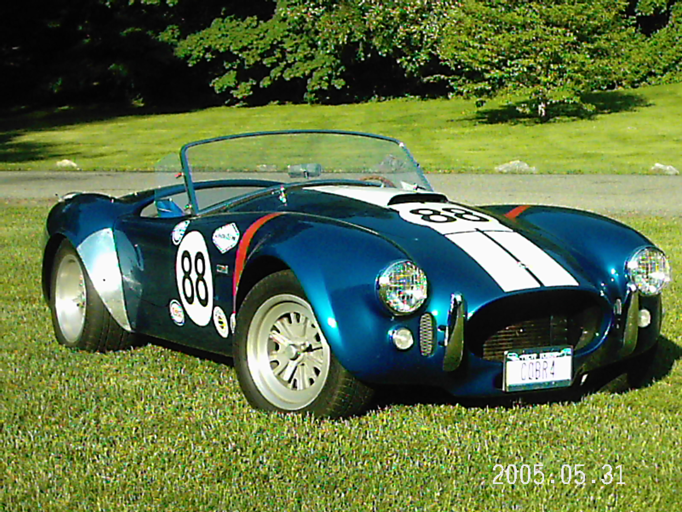 19270Cobra_in_park_front_side