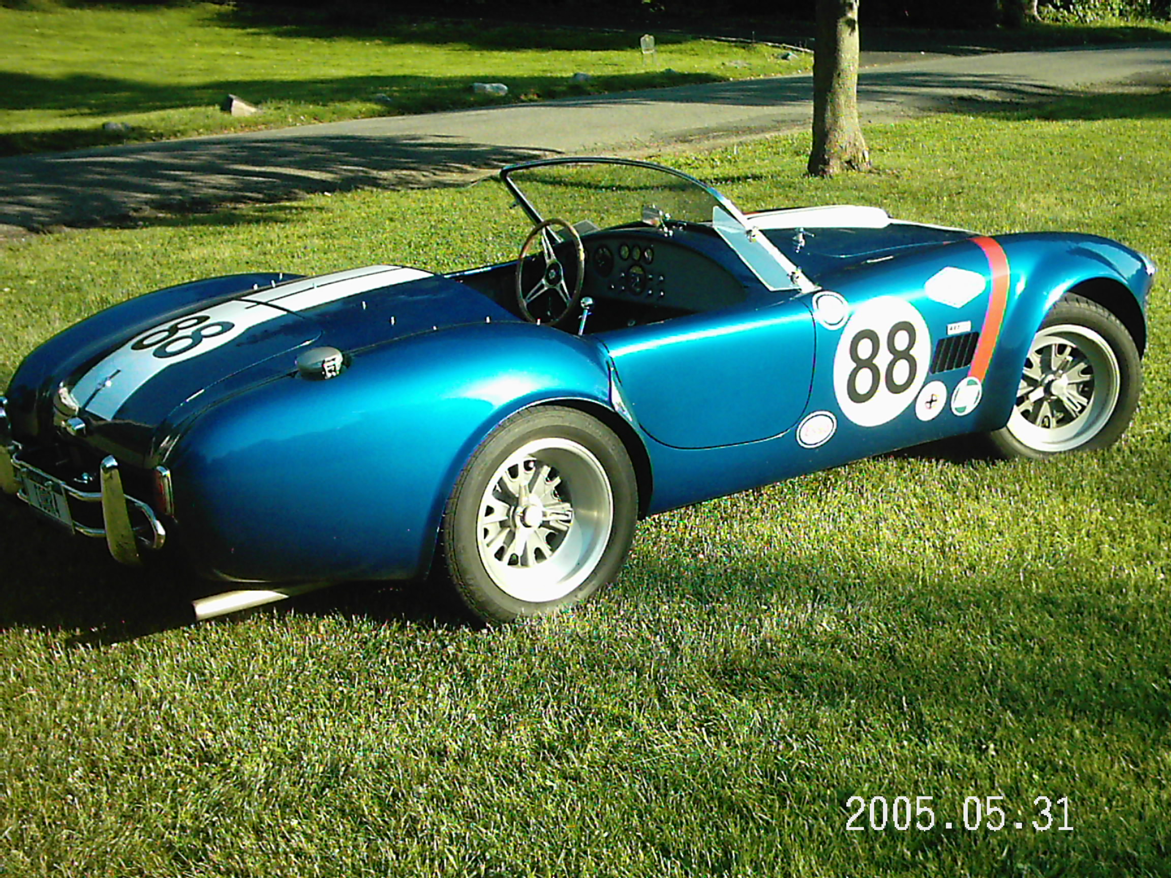 19270Cobra_in_park_rear_side