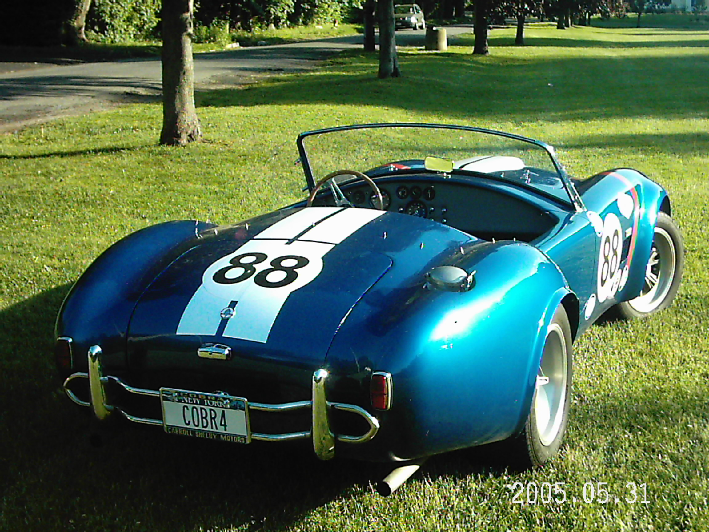 19270Cobra_pics_in_park_Tue_31_May_010