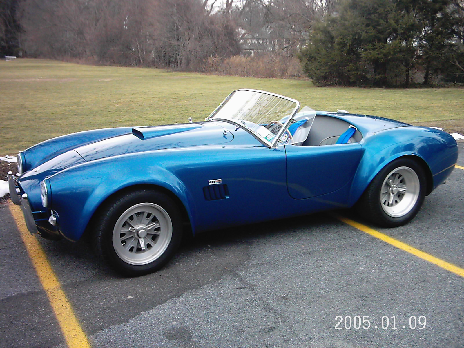 19270Contemporary_Cobra_1