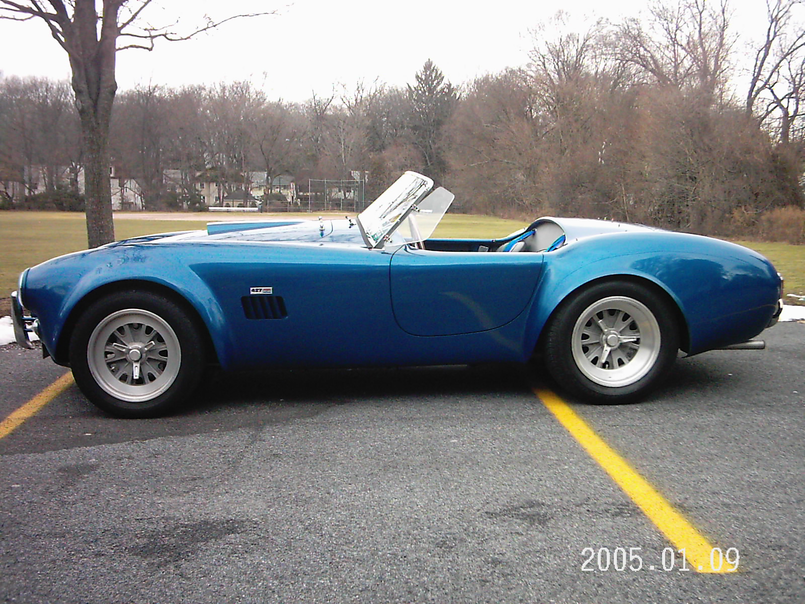 19270Contemporary_Cobra_14